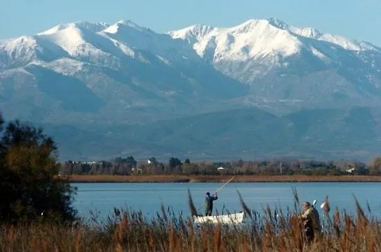 营地 Muriel Le Mar Estang 卡内